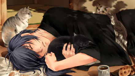 HD PC desktop wallpaper background: anime (Hakuouki Shinsengumi Kitan) scene of a dark-haired character sleeping, cradling a black anime cat while other cats lounge in warm light.
