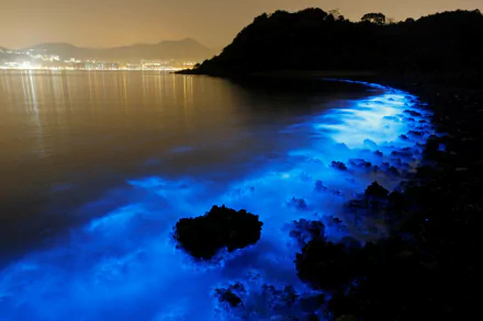 Bioluminescent blue glow along a rocky seashore in Hong Kong at night, captured in stunning HD for a vibrant desktop wallpaper.
