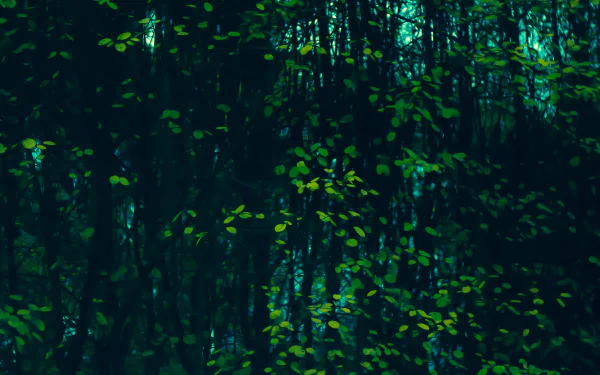  Green leafs twinkl