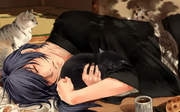 HD PC desktop wallpaper background: anime (Hakuouki Shinsengumi Kitan) scene of a dark-haired character sleeping, cradling a black anime cat while other cats lounge in warm light.