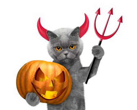 A 4K Ultra HD Halloween-themed wallpaper featuring a gray cat with red devil horns holding a pitchfork next to a carved jack-o'-lantern.