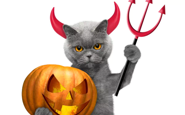 A 4K Ultra HD Halloween-themed wallpaper featuring a gray cat with red devil horns holding a pitchfork next to a carved jack-o'-lantern.