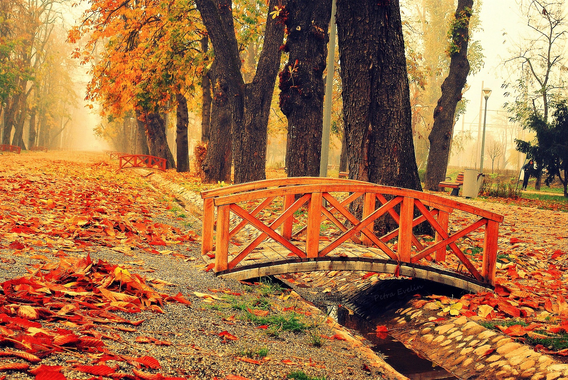 Bridge in Autumn Park