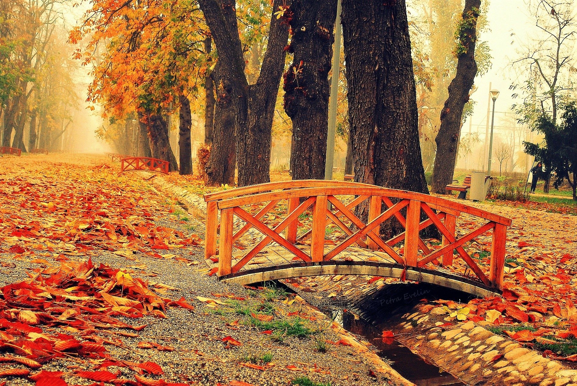 Bridge In Autumn Park Wallpaper And Background Image 1897x1270 Id
