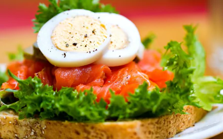 lettuce salmon fish toast food egg HD Desktop Wallpaper | Background Image