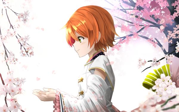 Anime Love Live! Rin Hoshizora HD Wallpaper | Background Image