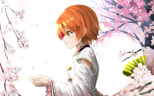Rin Hoshizora Anime Love Live! HD Desktop Wallpaper | Background Image