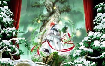 Imagen de anime, love, and mahoutsukai no yome  Ancient magus bride, Anime  romance, Ancient dragon