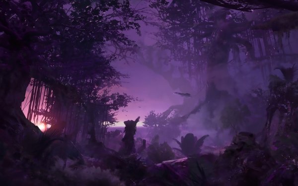 Fantasy Forest Night Landscape Tree HD Wallpaper | Background Image