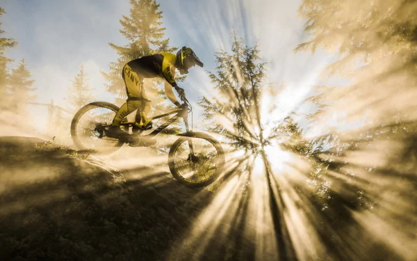 mountain bike sunbeam bicycle Sports HD Desktop Wallpaper | Background Image