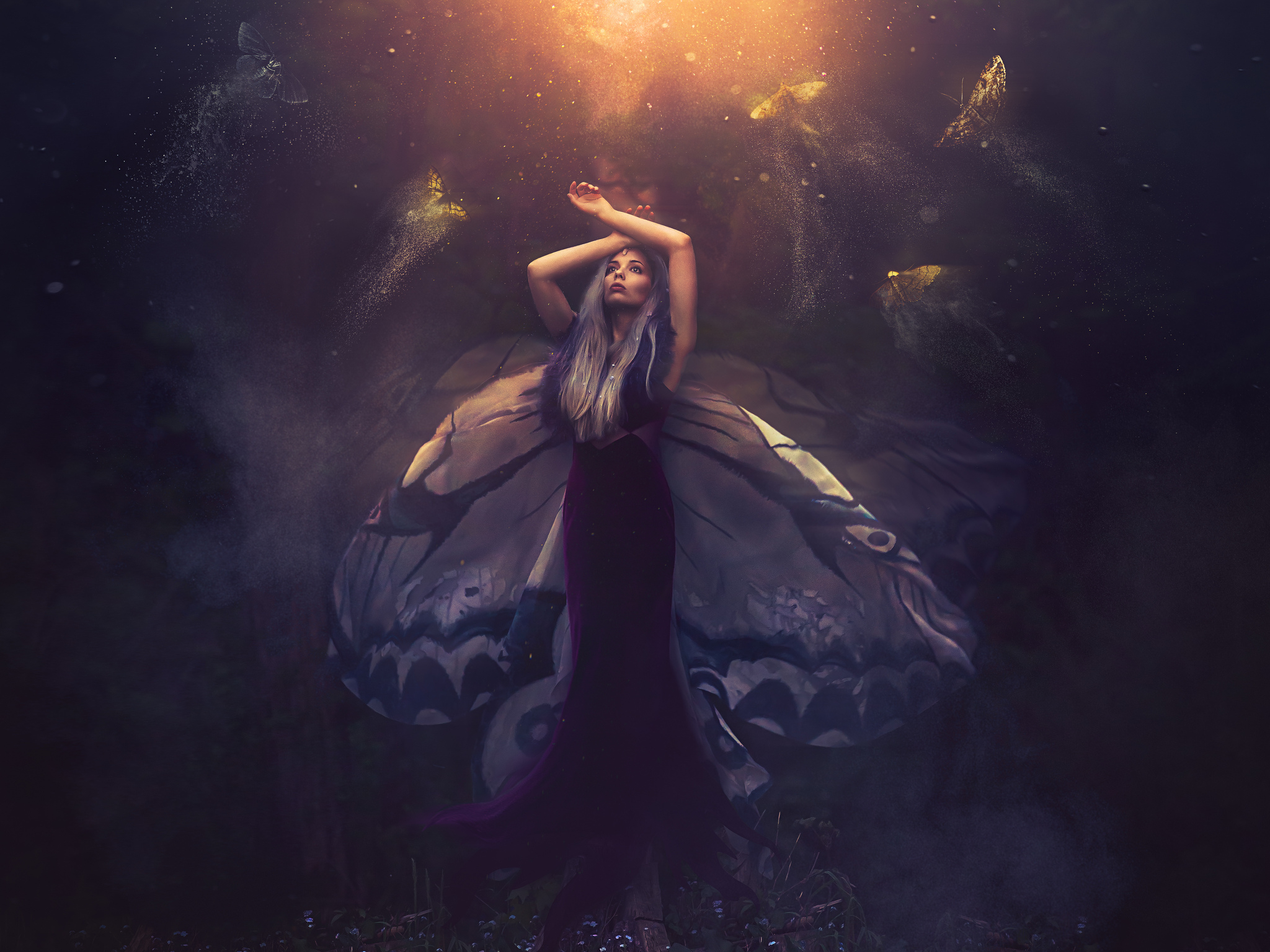 Fantasy Fairy HD Wallpaper by Shelby Robinson