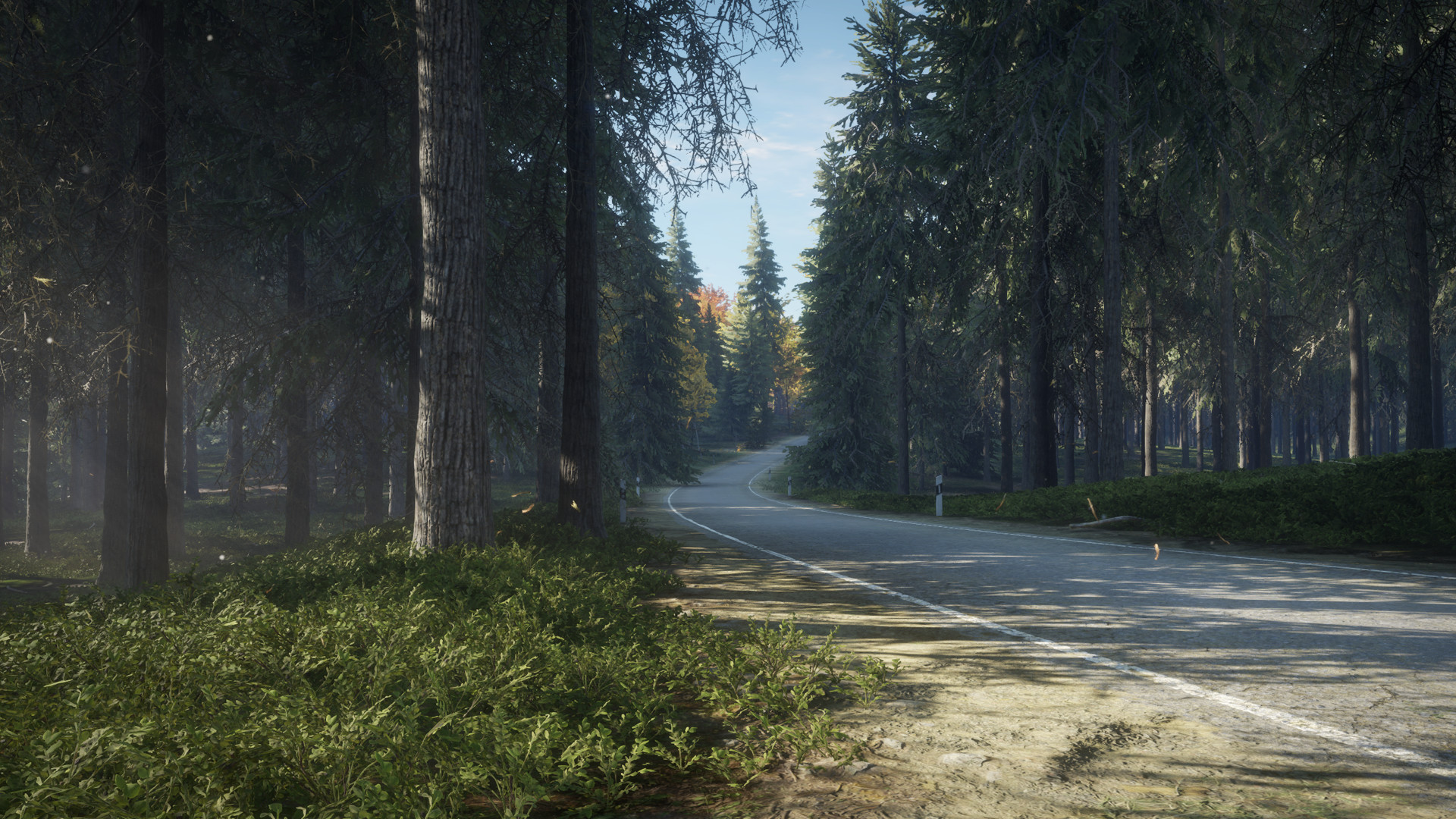 Thehunter Call Of The Wild Hd Wallpaper Serene Forest Trail