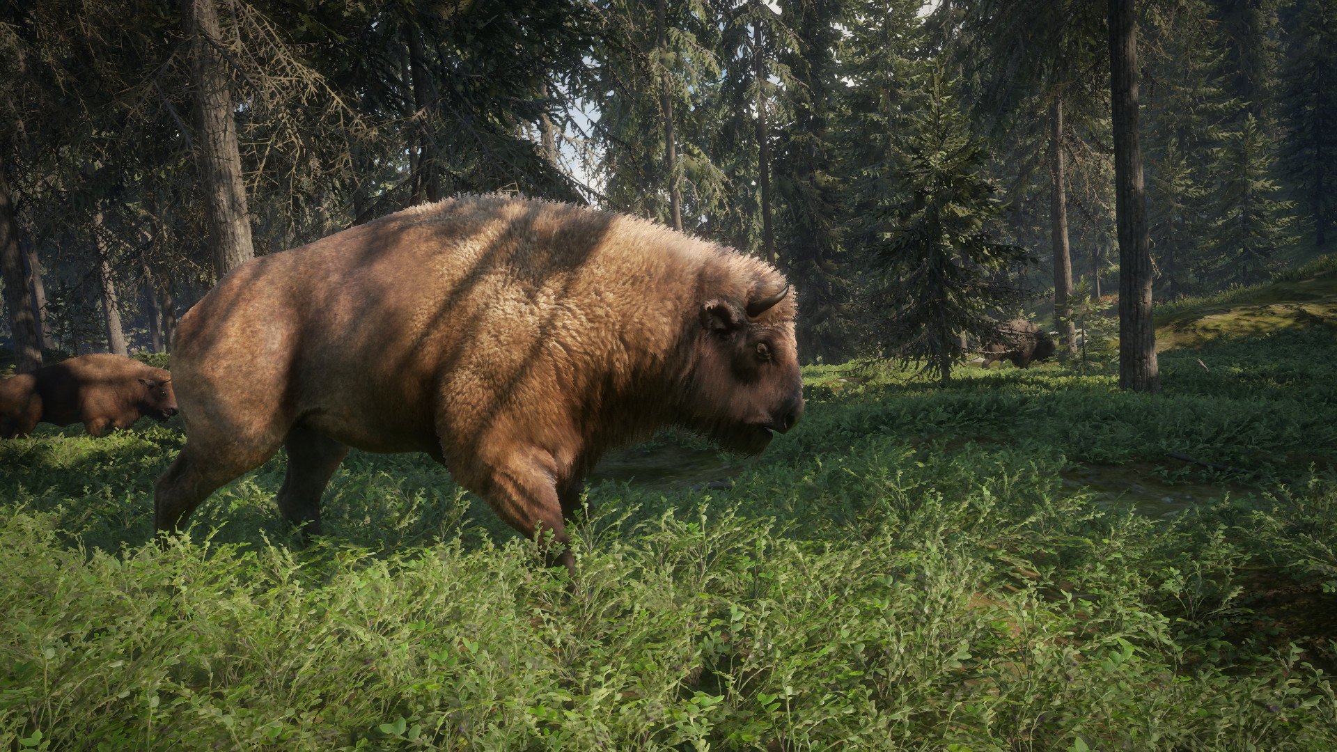 HD wallpaper from the game theHunter: Call of The Wild featuring a bison in a lush forest setting.