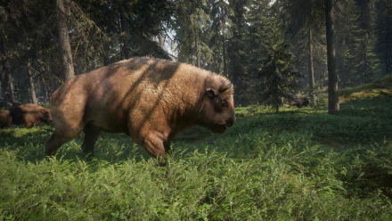 HD wallpaper from the game theHunter: Call of The Wild featuring a bison in a lush forest setting.