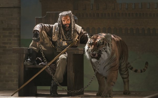 TV Show The Walking Dead Shiva Ezekiel Tiger HD Wallpaper | Background Image