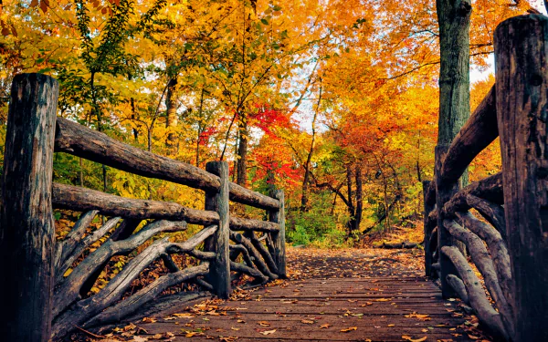 A wooden man-made bridge surrounded by vibrant fall trees with orange and yellow leaves, captured in stunning 4K Ultra HD for a PC desktop wallpaper.
