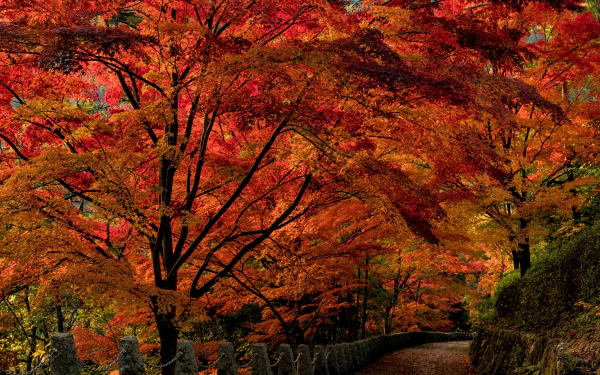  Autumn Park
