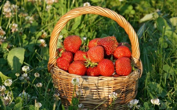 Food Strawberry Fruits Fruit Basket HD Wallpaper | Background Image