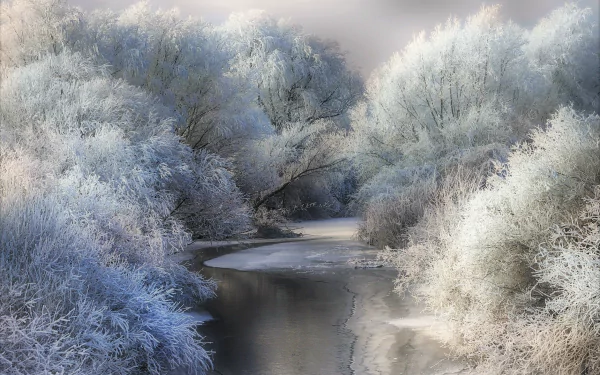 HD winter landscape wallpaper featuring a frozen pond surrounded by frosty, snow-covered trees, creating a serene and peaceful nature scene.