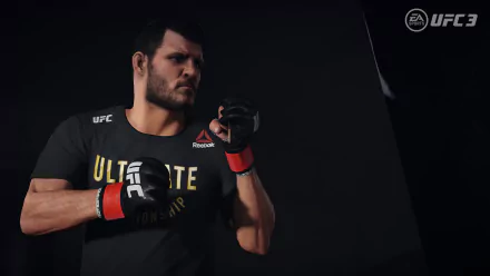 HD desktop wallpaper featuring a poised fighter from EA Sports UFC 3 video game, with UFC and Reebok branding visible.