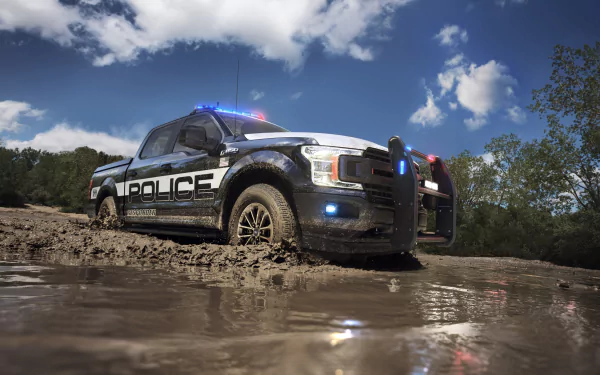 police vehicle Ford F-150 HD Desktop Wallpaper | Background Image