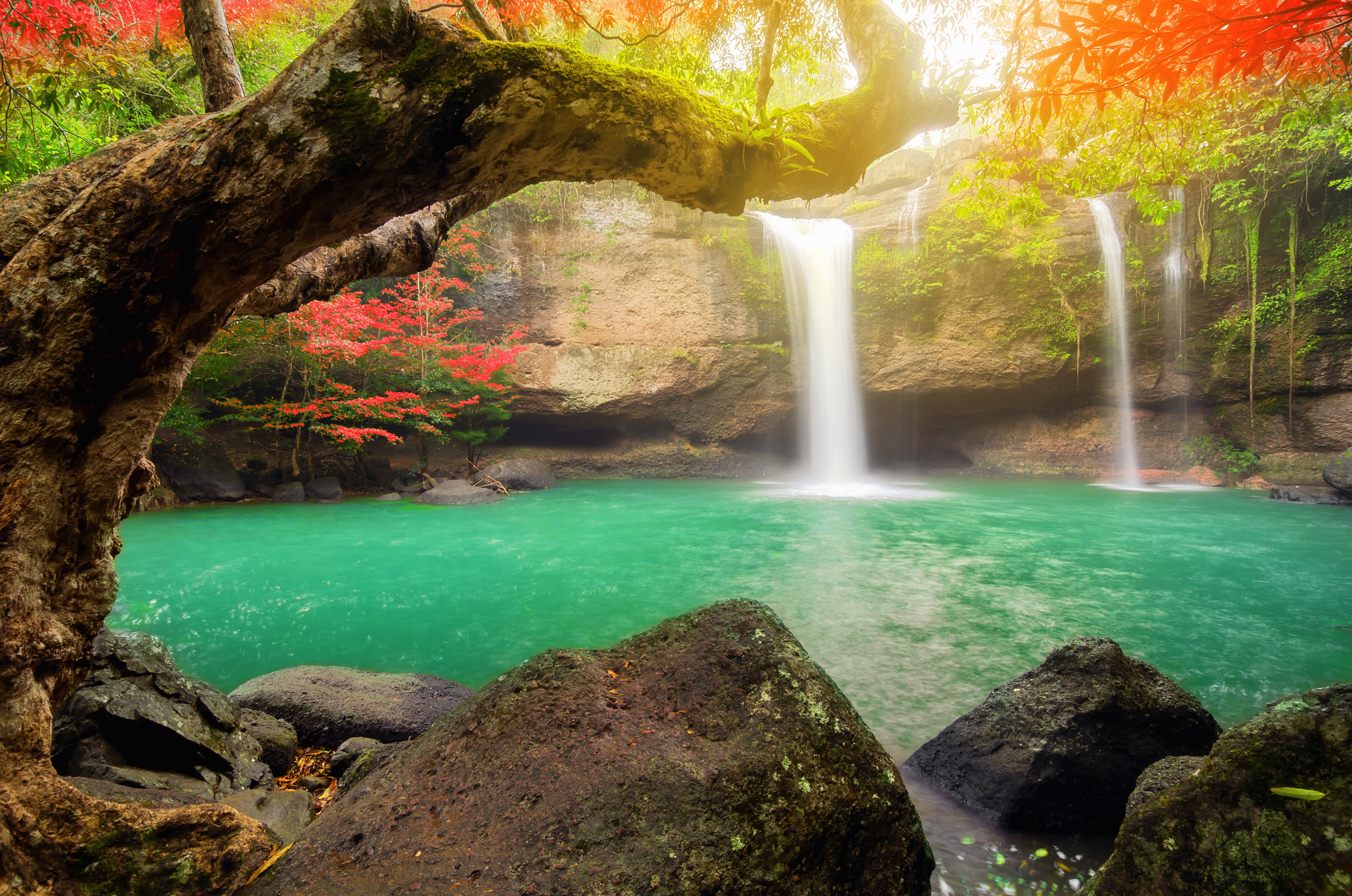 Озера водопад лес. Природа Тайланда водопад. Красивые водопады. Водопад у озера. Водопад в лесу.