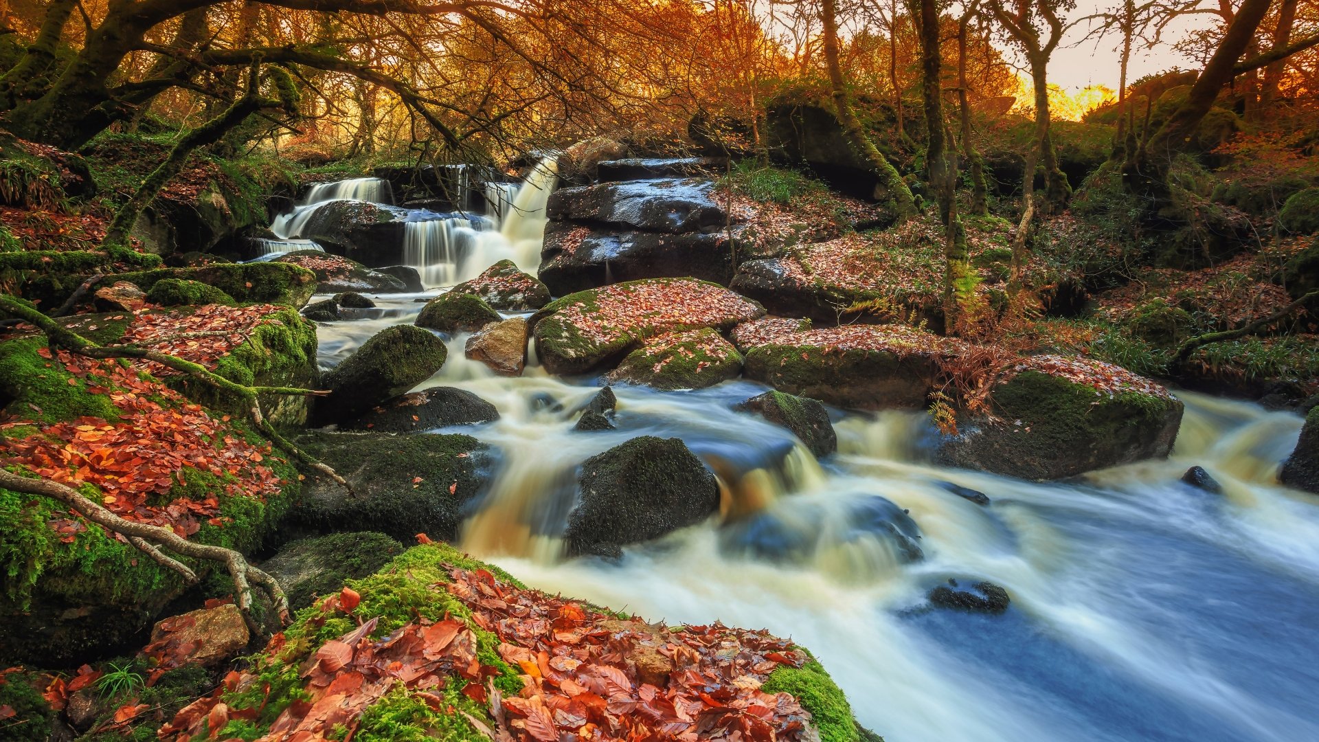 Stream 4k Ultra HD Wallpaper | Background Image ...