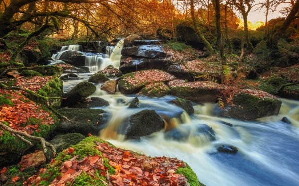 Earth Stream Nature Fall HD Wallpaper | Background Image