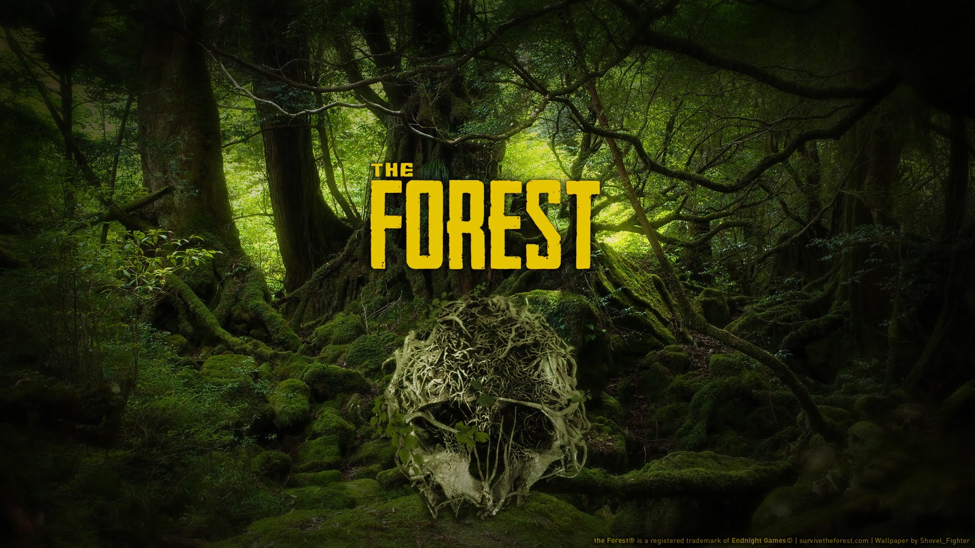 the forest crack download