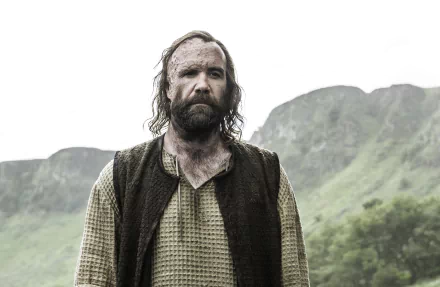 Rory McCann Sandor Clegane TV Show Game Of Thrones HD Desktop Wallpaper | Background Image