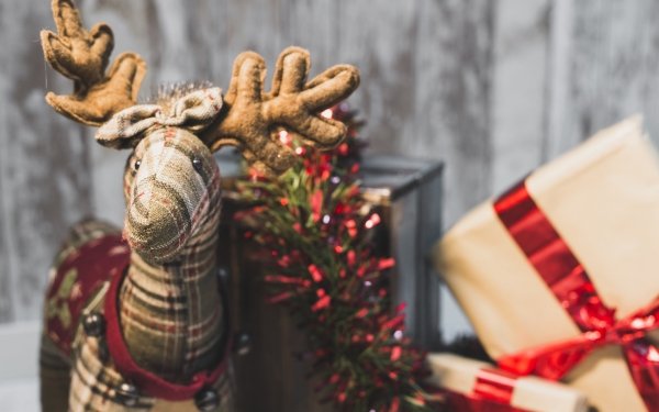Holiday Christmas Reindeer Decoration Gift Stuffed Animal HD Wallpaper | Background Image