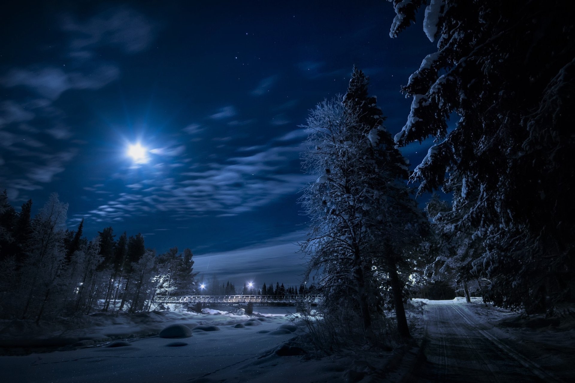 Snowy Night Road in Forest - Winter HD Wallpaper