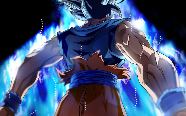 Anime Dragon Ball Super Dragon Ball Goku Ultra Instinct HD Wallpaper | Background Image