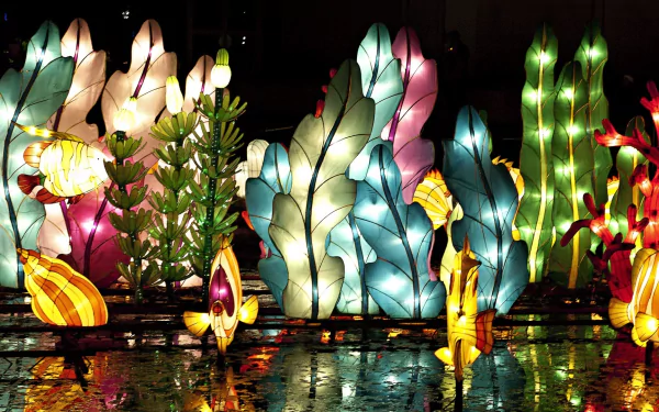 Colorful paper lanterns shaped like plants and cacti glow brightly at a festival, creating a vibrant, illuminated scene reflected on a wet surface in this HD desktop wallpaper.