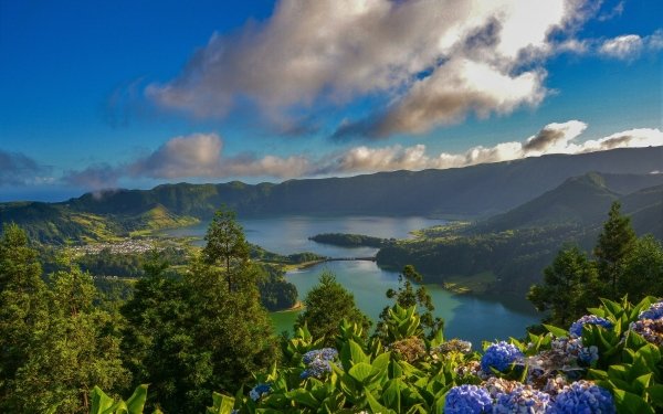 Photography Landscape Azores Portugal Mountain Forest City Flower Lake HD Wallpaper | Background Image