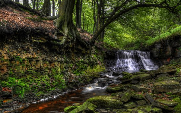 Nature Waterfall Waterfalls Stream HD Wallpaper | Background Image