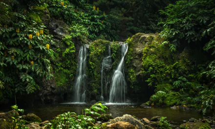 Lush green Azores forest waterfall in Portugal, twin cascades flowing into a rocky pool — 4K Ultra HD PC desktop wallpaper background.
