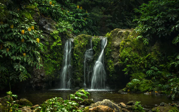 Lush green Azores forest waterfall in Portugal, twin cascades flowing into a rocky pool — 4K Ultra HD PC desktop wallpaper background.