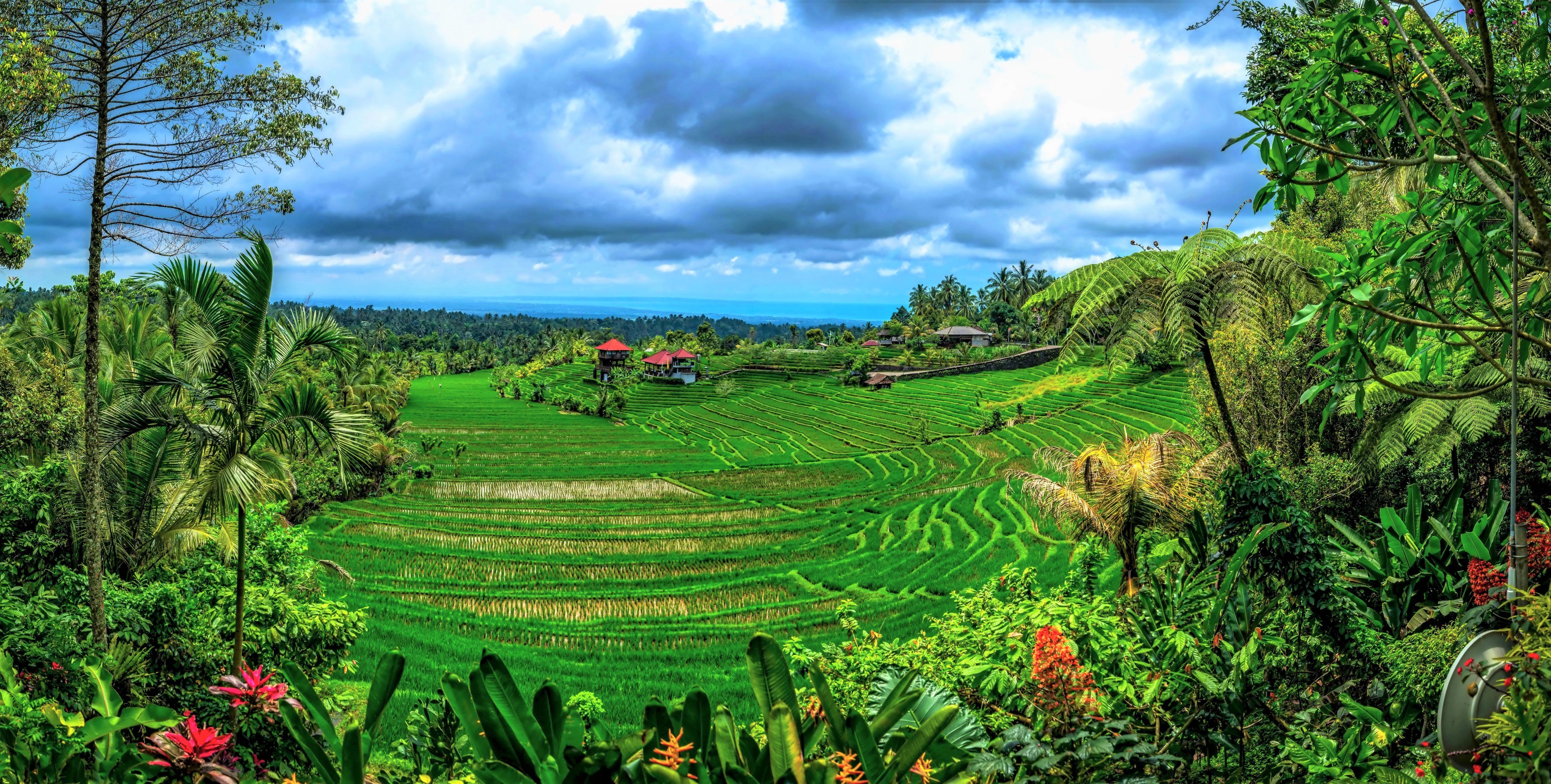 Indonesian Landscape by Klaus Mokosch