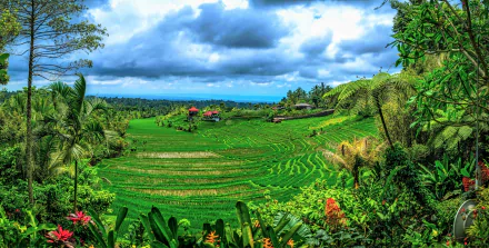 Lush green rice terraces in Bali, Indonesia, framed by tropical trees under a vibrant blue sky, captured in stunning 4K Ultra HD quality.