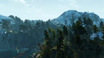 HD PC desktop wallpaper from the video game The Witcher 3: Wild Hunt showing a mountainous landscape with dense forests under a clear sky.