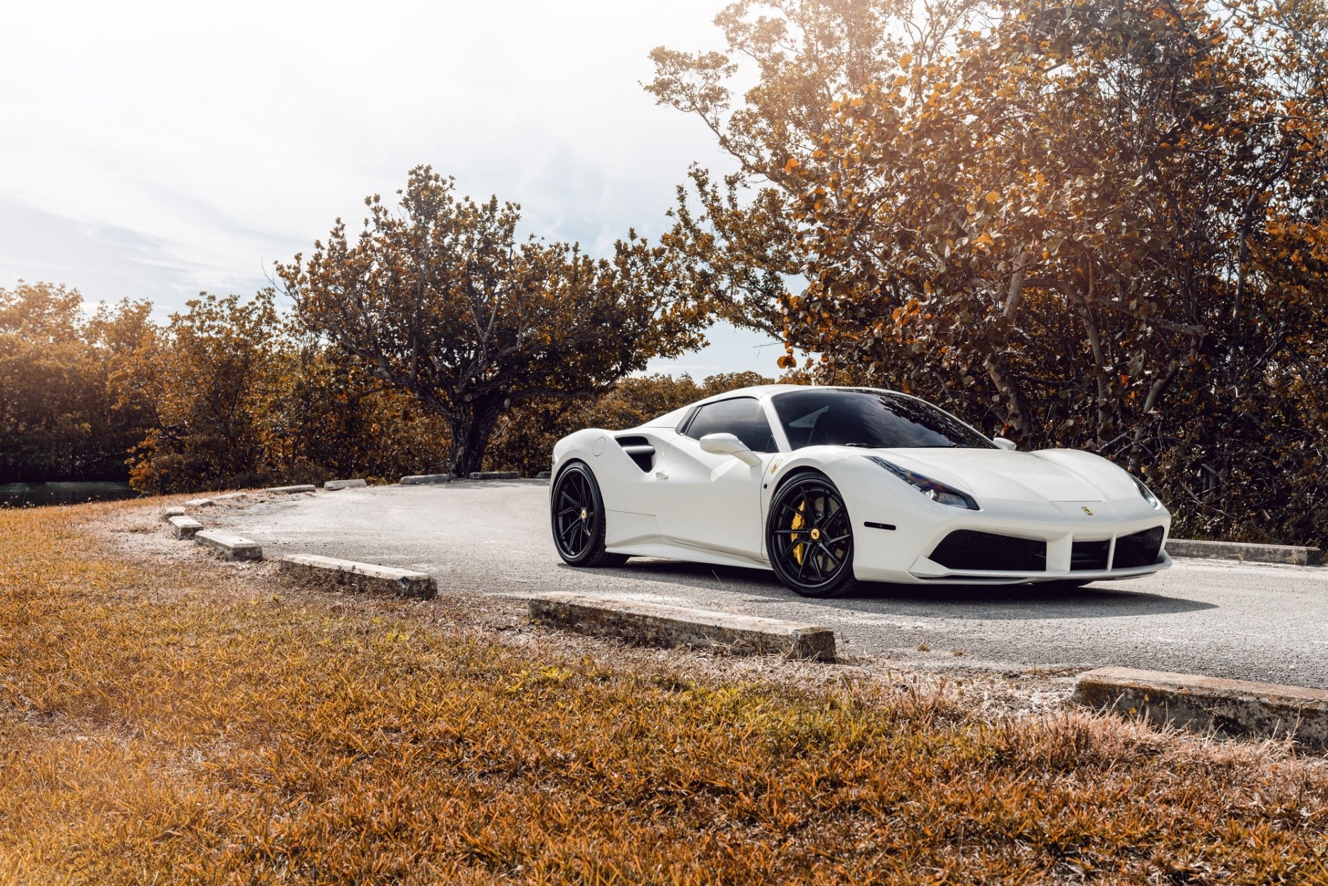 White Ferrari 488 supercar parked on a rural road beside autumn trees, HD PC desktop wallpaper background.