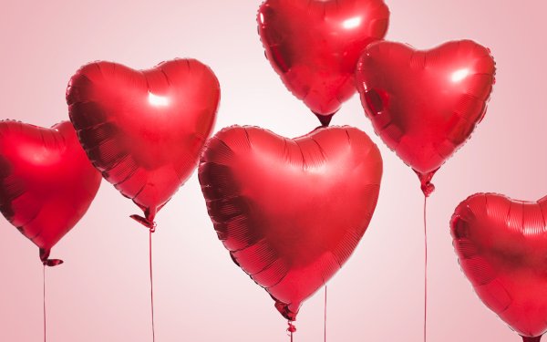 Holiday Valentine's Day HD Wallpaper | Background Image