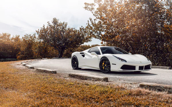 White Ferrari 488 supercar parked on a rural road beside autumn trees, HD PC desktop wallpaper background.