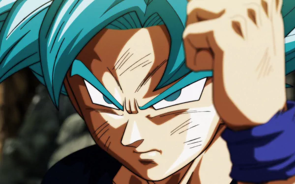Super Saiyan Blue Goku Anime Dragon Ball Super HD Desktop Wallpaper | Background Image
