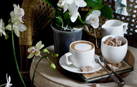A still life HD wallpaper featuring white orchid flowers, a cup of coffee with sugar cubes, and a milk jug arranged on a rustic wicker chair.