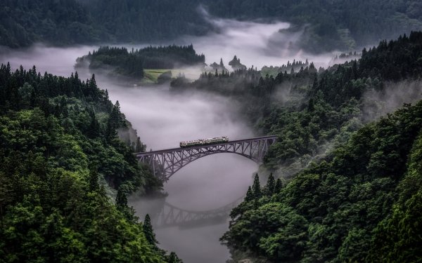 Hecho por el hombre Puente Puentes Naturaleza Niebla Reflejo Paisaje Tren Bosque Fondo de pantalla HD | Fondo de Escritorio