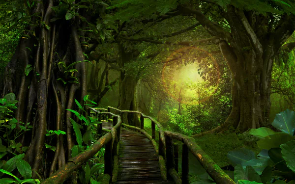A man-made boardwalk winds through dense greenery and towering trees in a lush rainforest jungle, captured in vivid 4K Ultra HD detail.