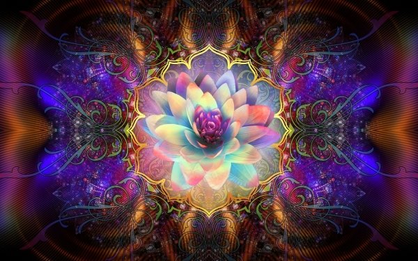 Artistique Fleur Fleurs Désign Couleurs Lotus Fond d'écran HD | Image