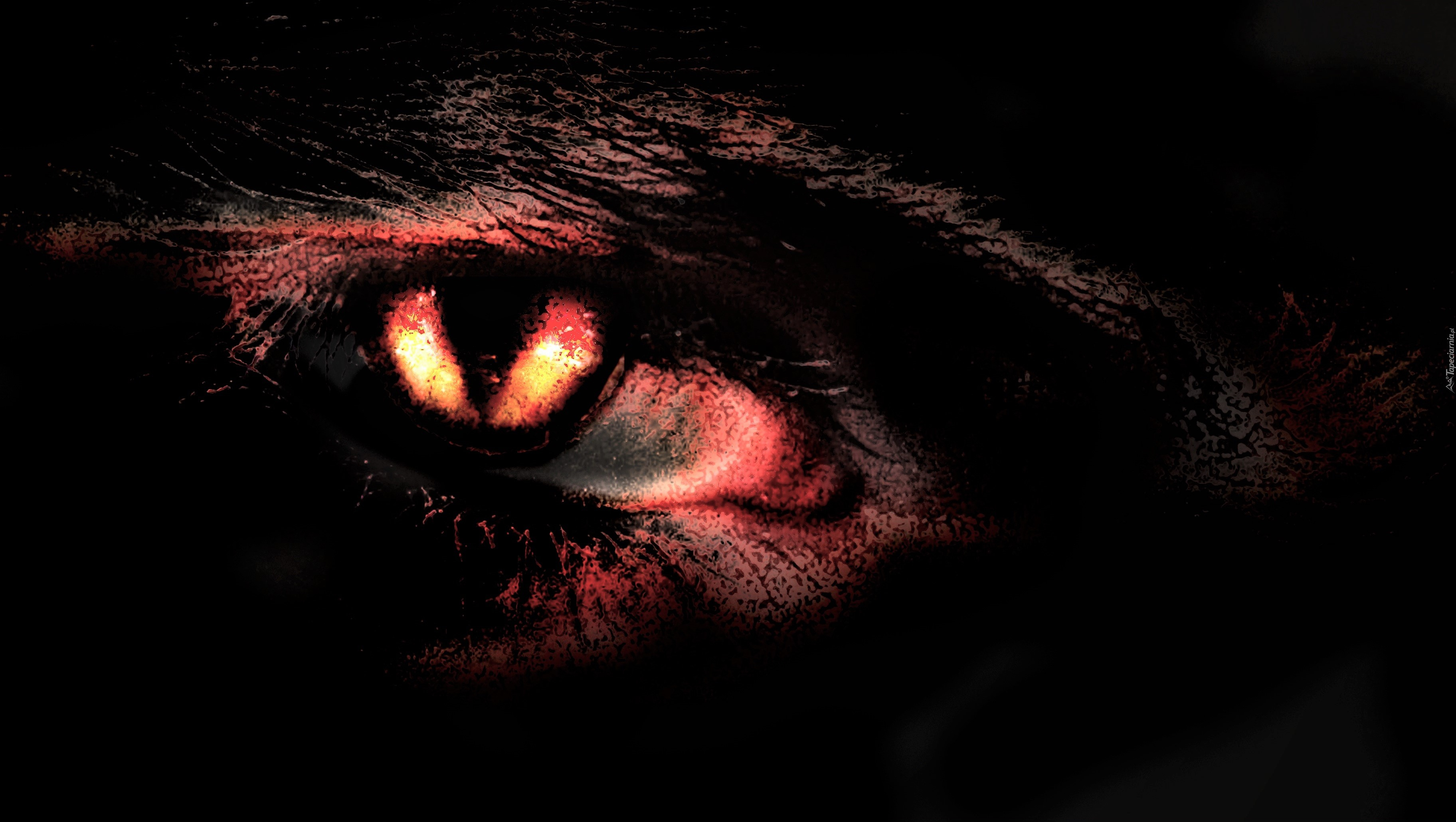 Dark Eye HD Wallpaper | Background Image